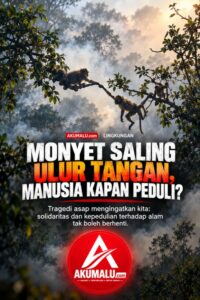 Monyet Saling Ulurkan Tangan di Tengah Kepungan Asap, Manusia Kapan Peduli?
